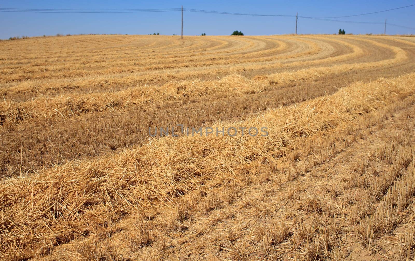 View of Spanish countryside