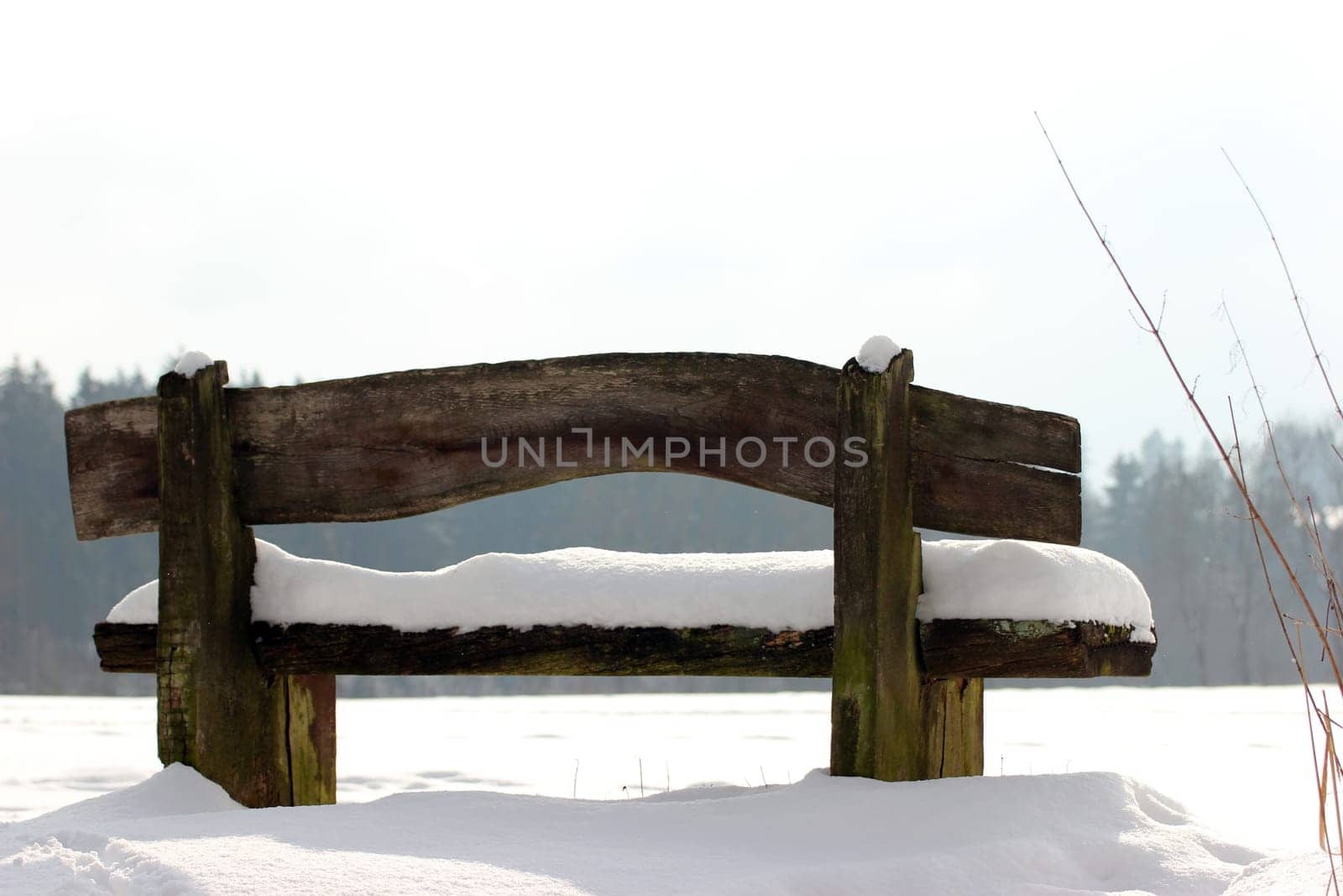 Bench in the snow