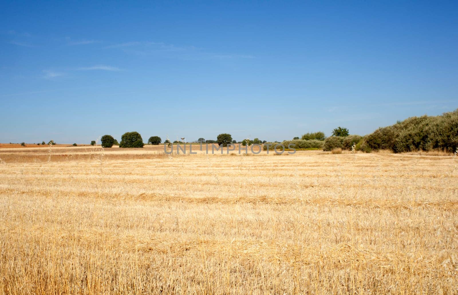 View of a field in Spain
