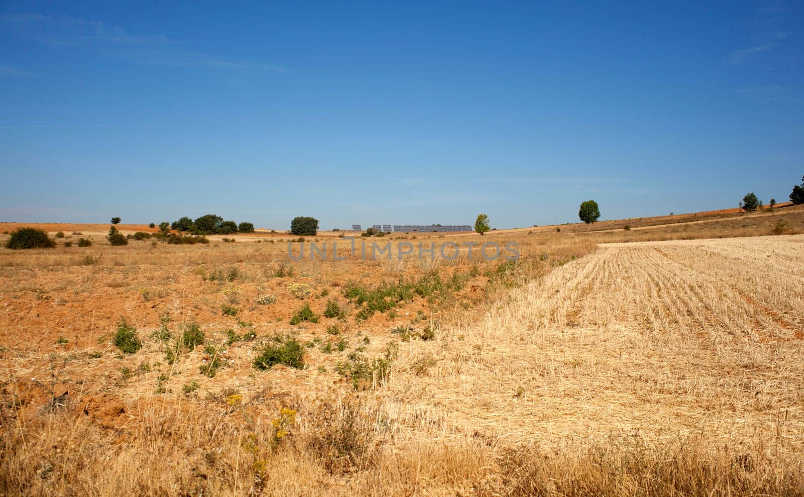 View of a field in Spain