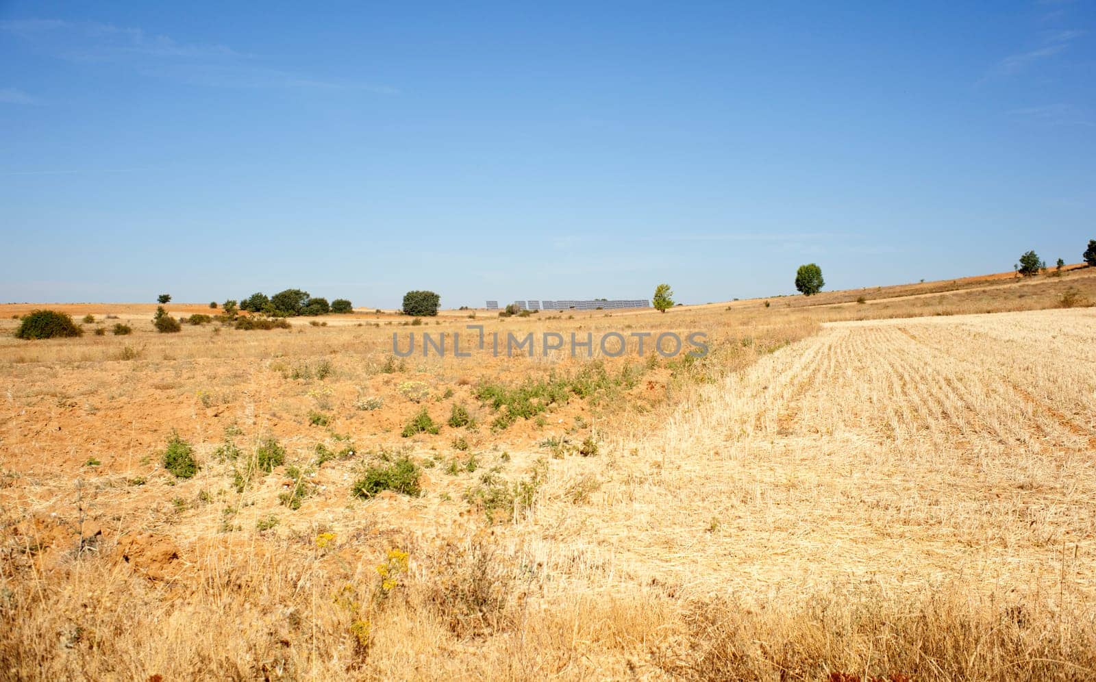 View of a field in Spain