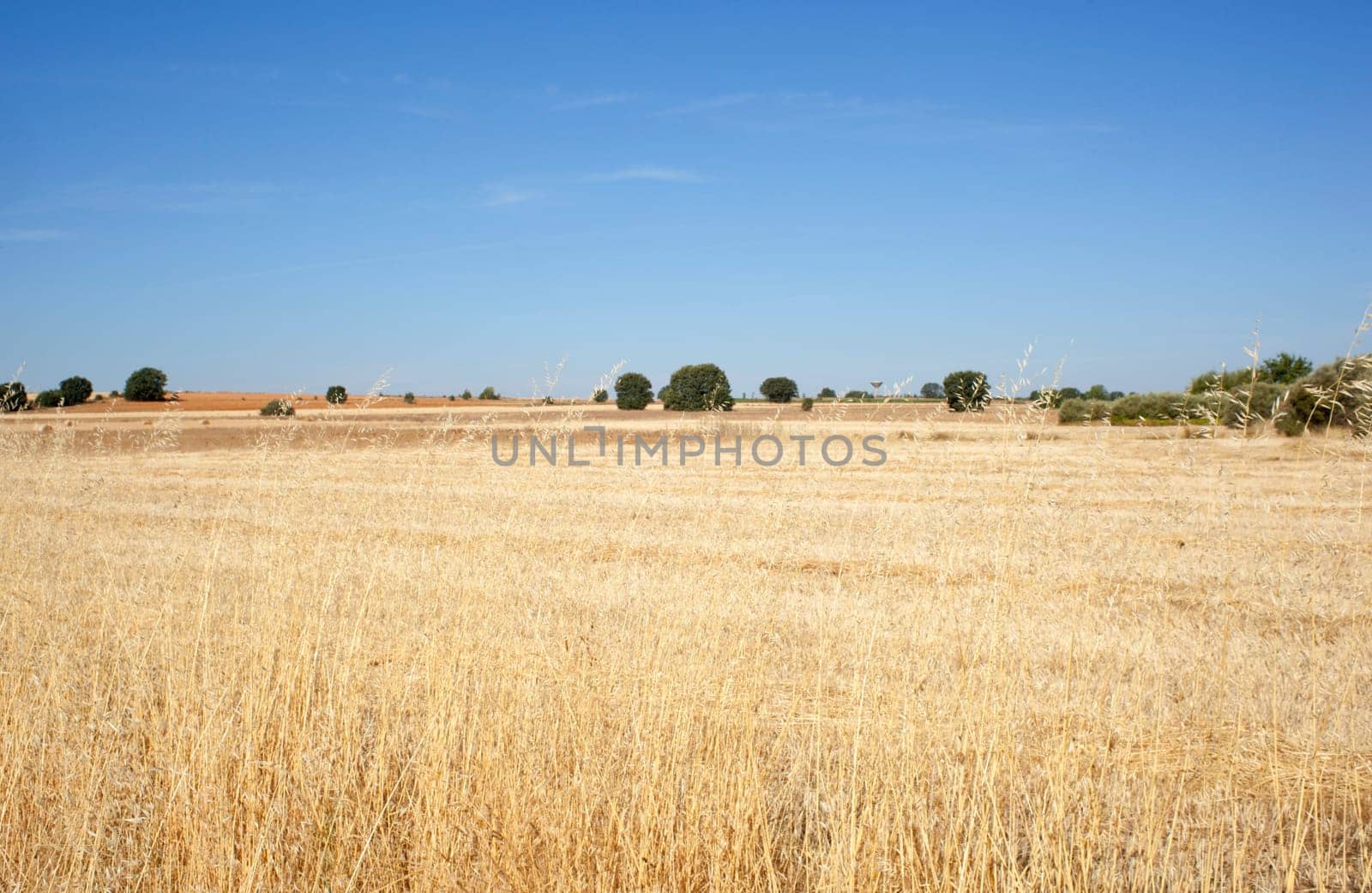 View of a field in Spain