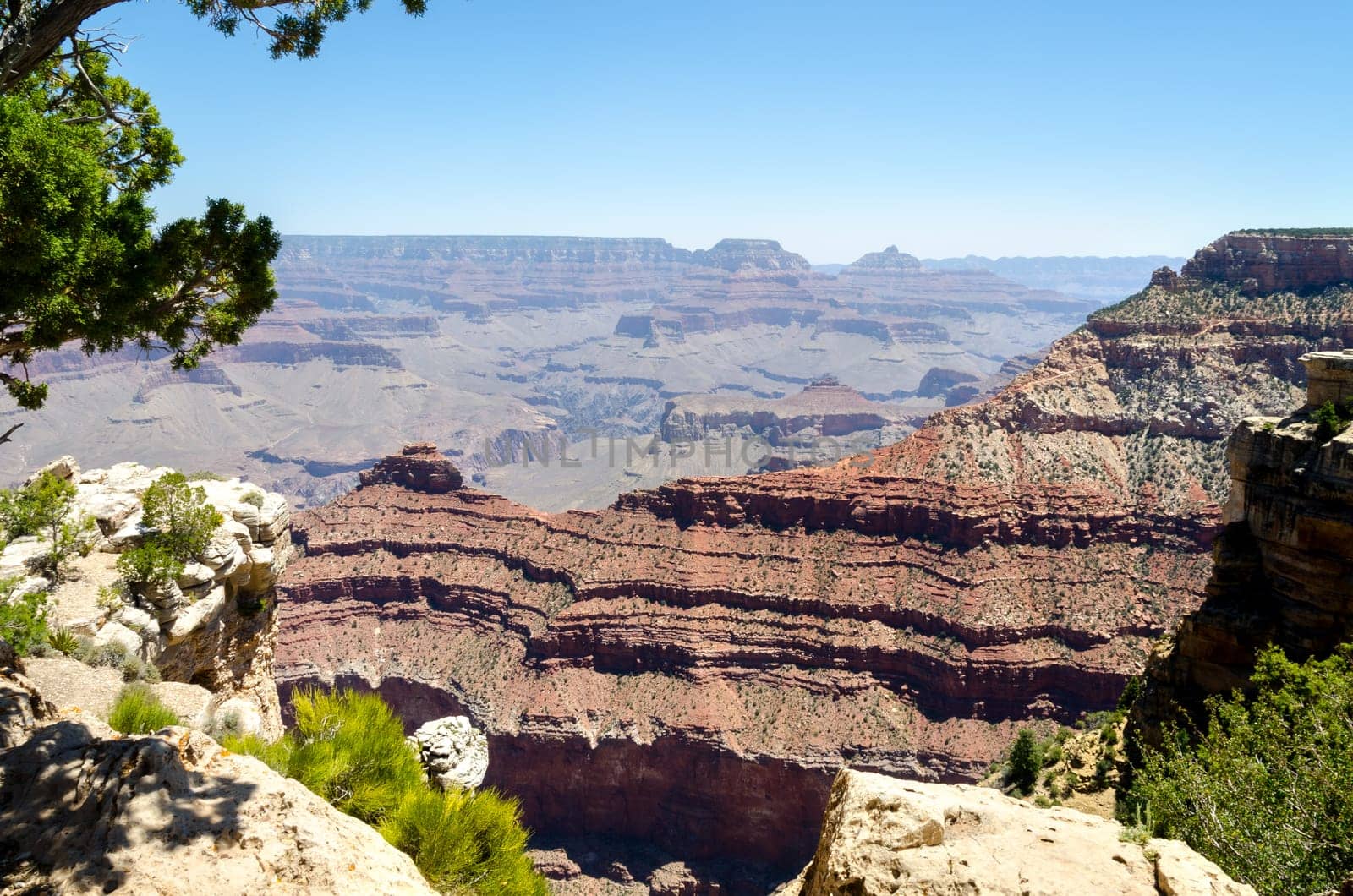 Grand Canyon in Arizona in the United States of America