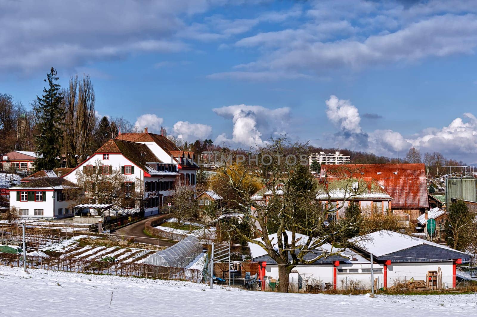 Klosterfiechten in winter 2013