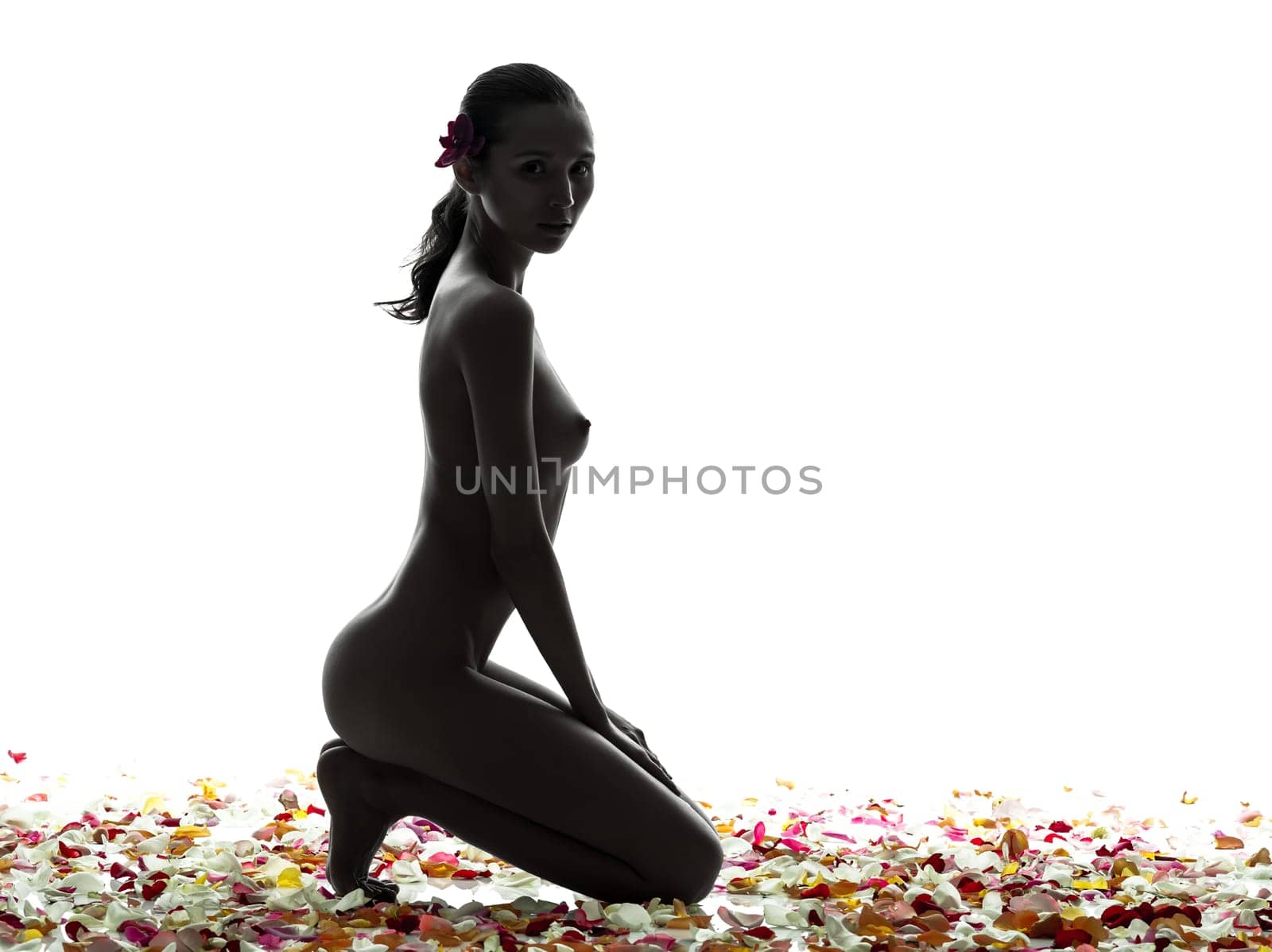 one beautiful asian woman naked  with petal flowers  in silhouette studio isolated on white background