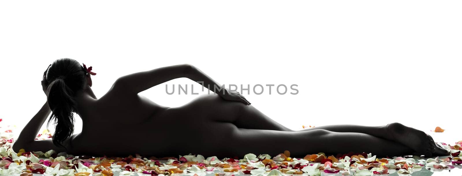 rear view of  one beautiful asian woman naked  with petal flowers  in silhouette studio isolated on white background