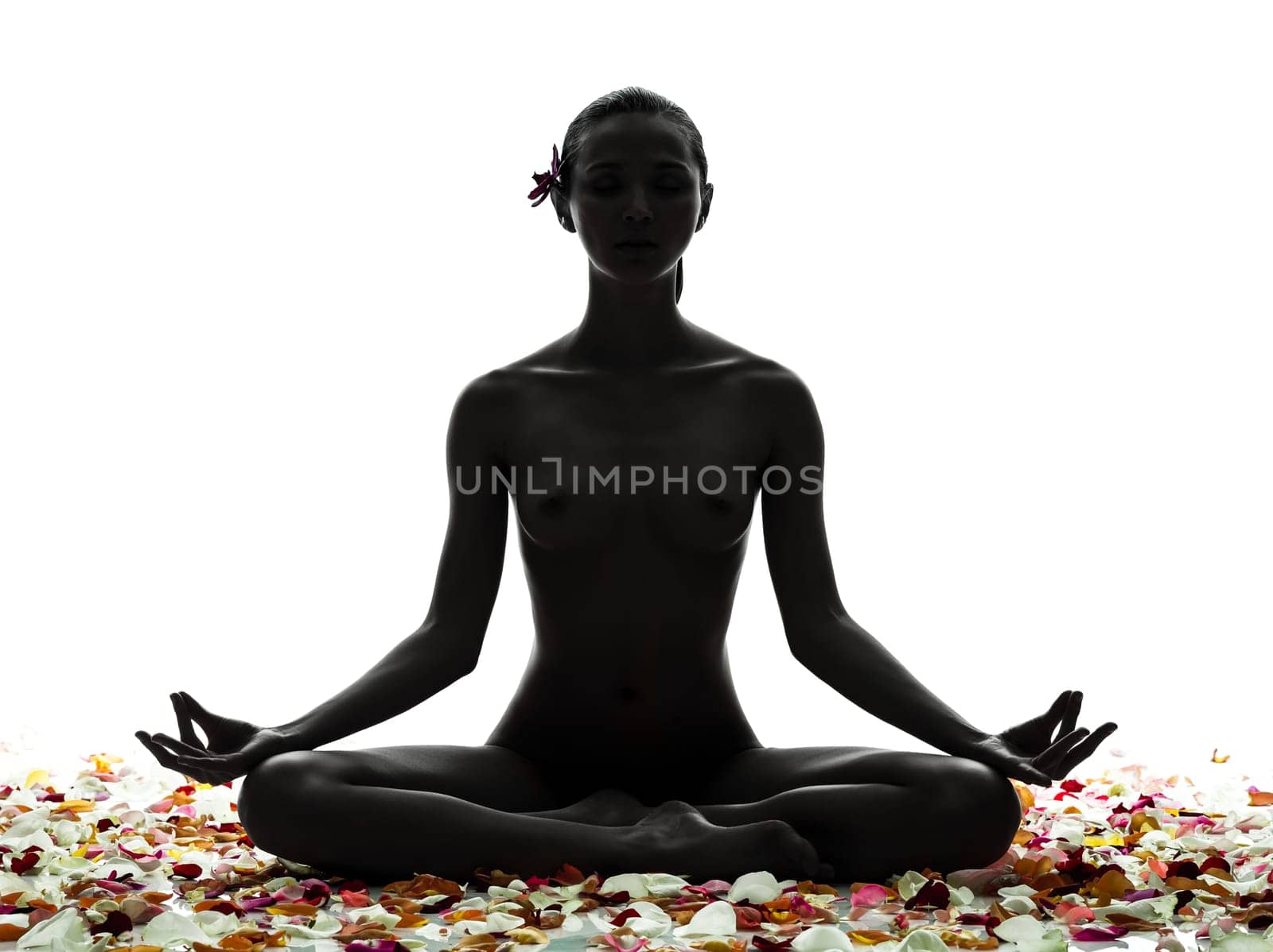 one beautiful asian woman naked sitting  with petal flowers  in silhouette studio isolated on white background