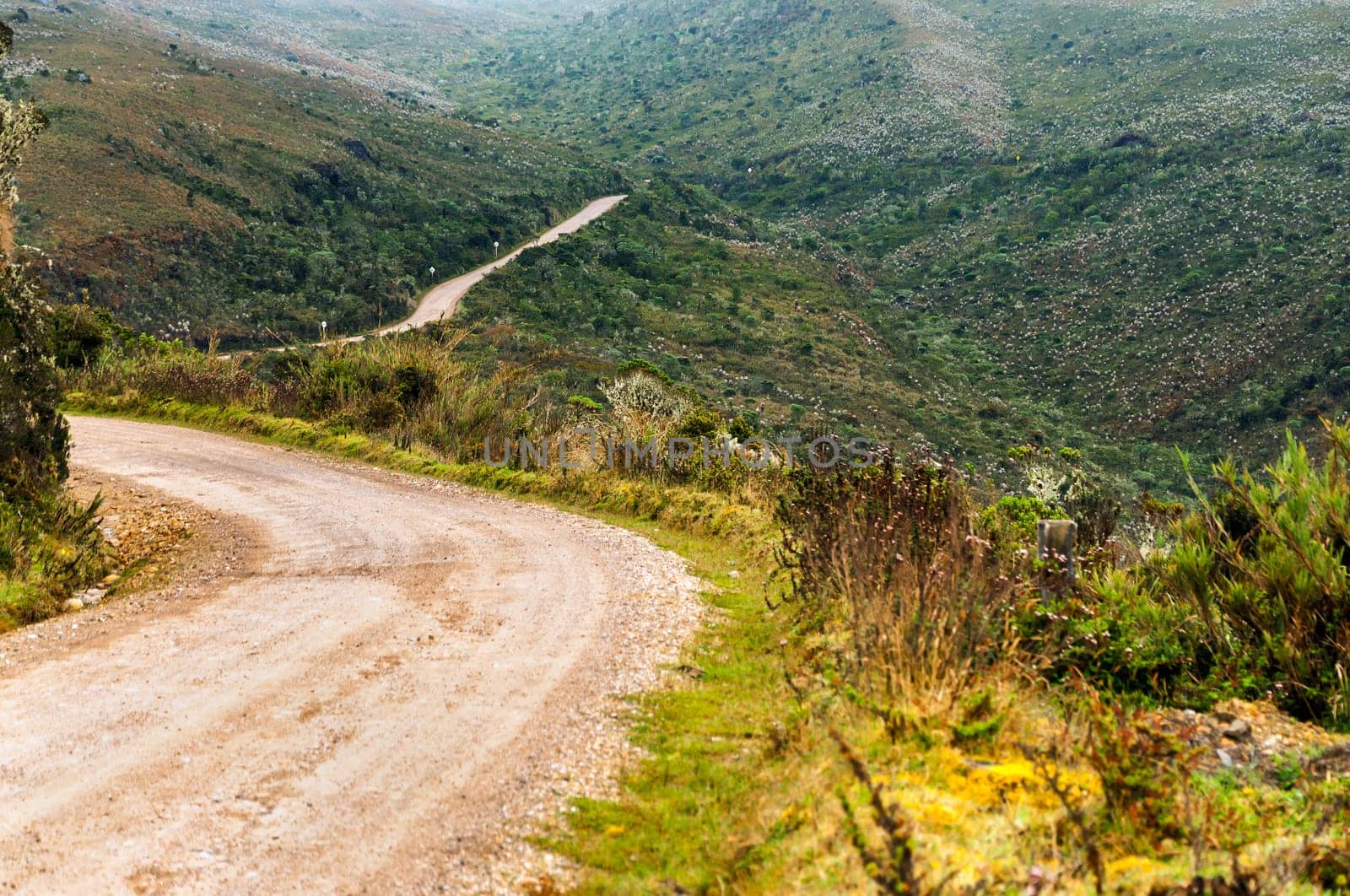 Country road extending deep into the wilderness