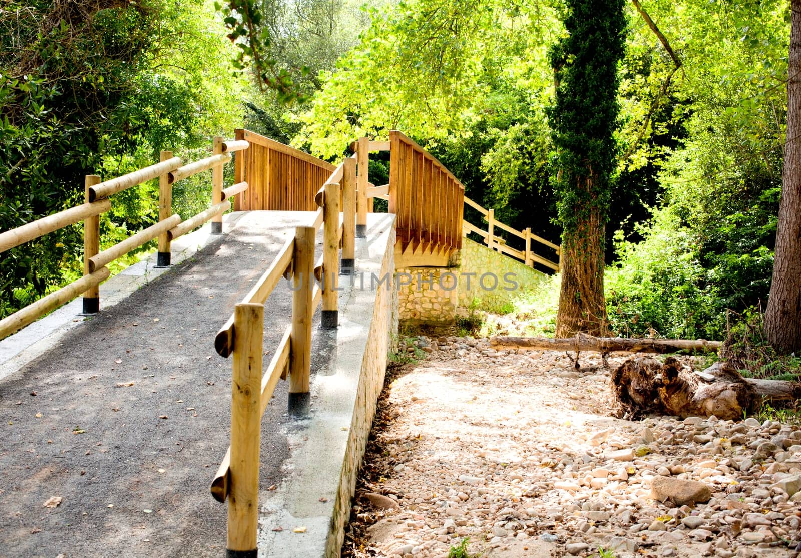 Wood bridge in the forest