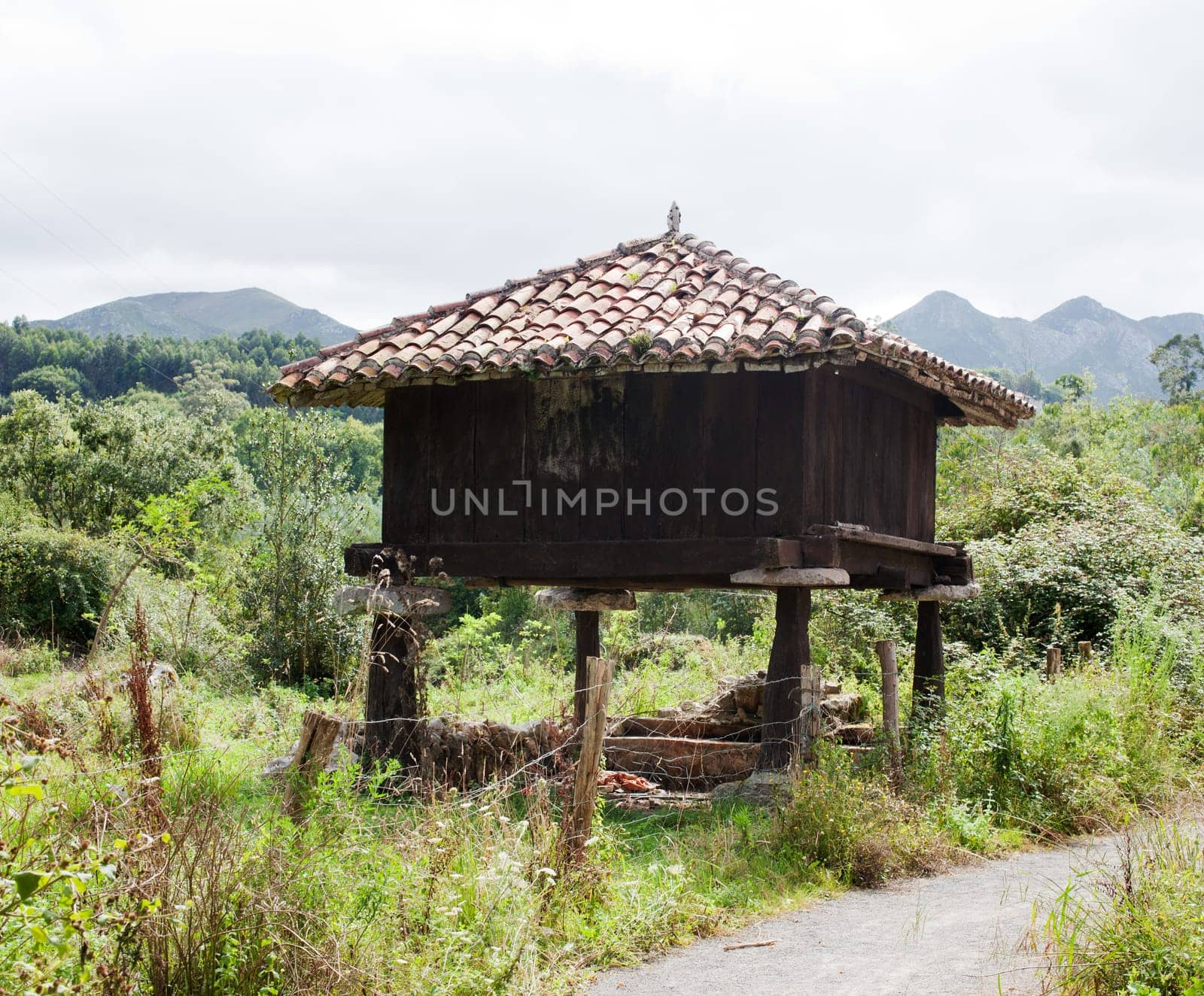 Typical Asturian granary in the countryside