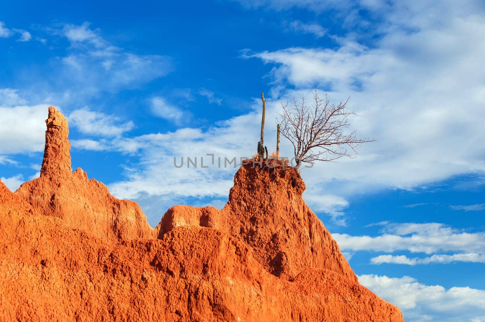 Cactus growing on top of narrow red rocky outcrop in Huila, Colombia