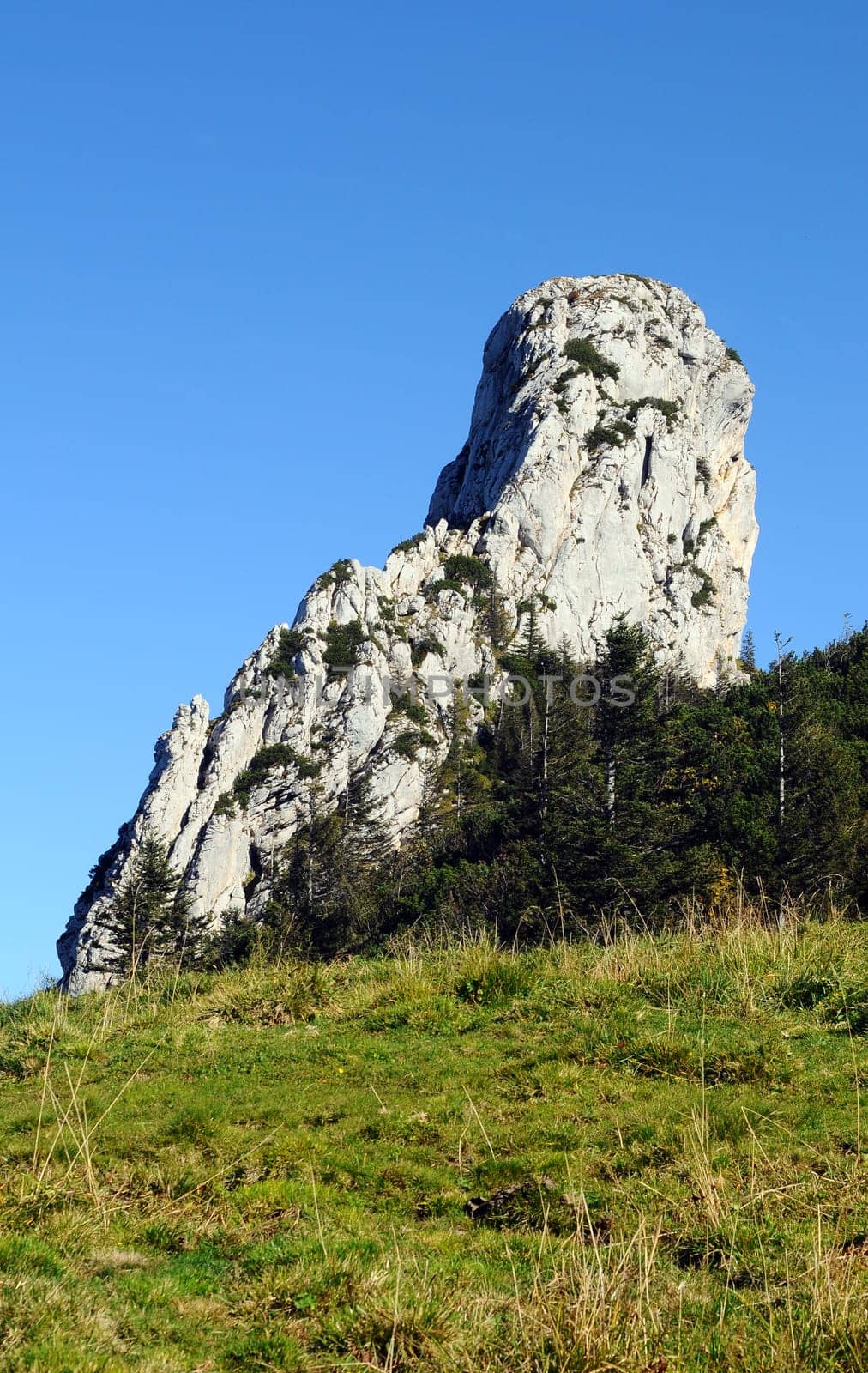 Kampenwand