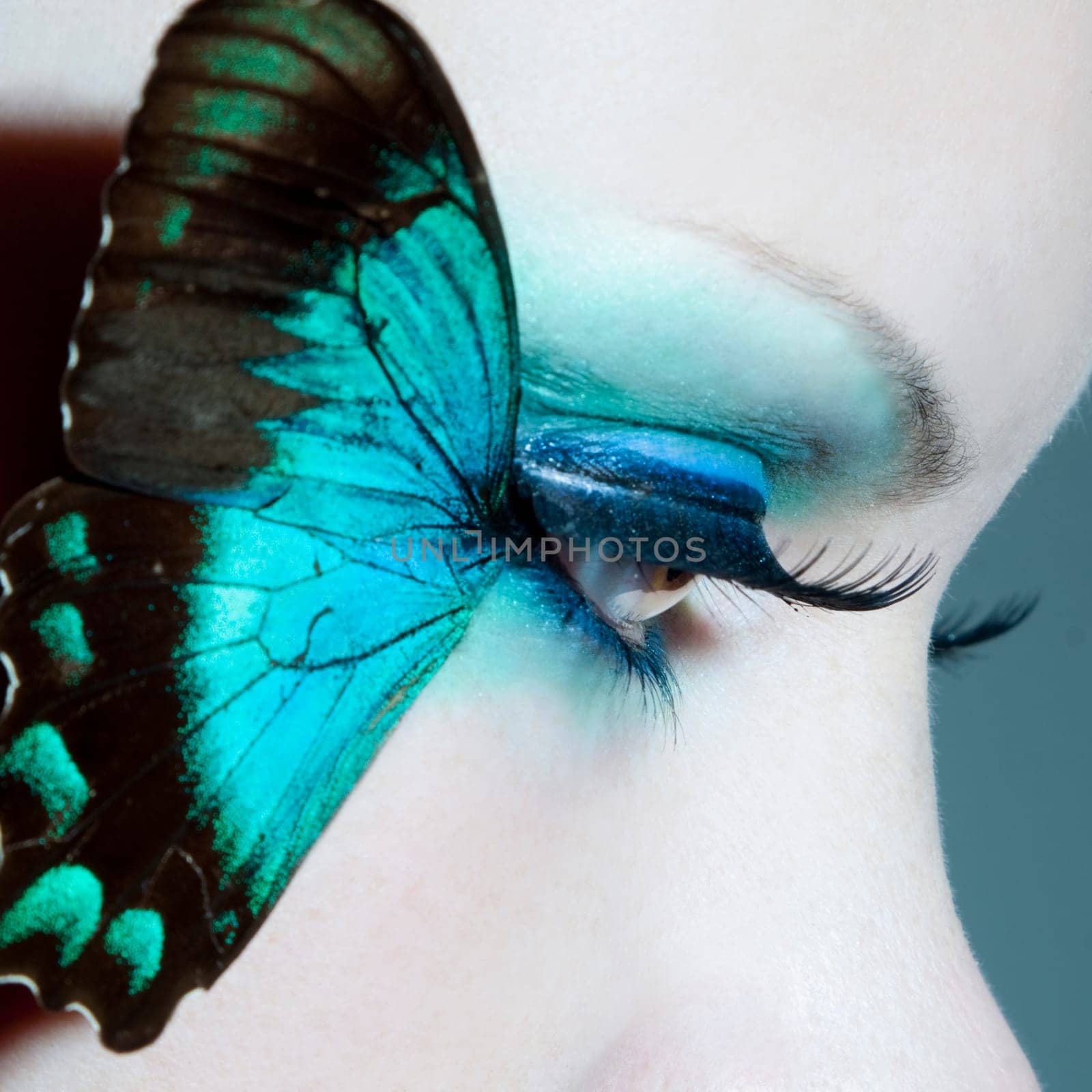 Eye of a young woman with butterfly wings
