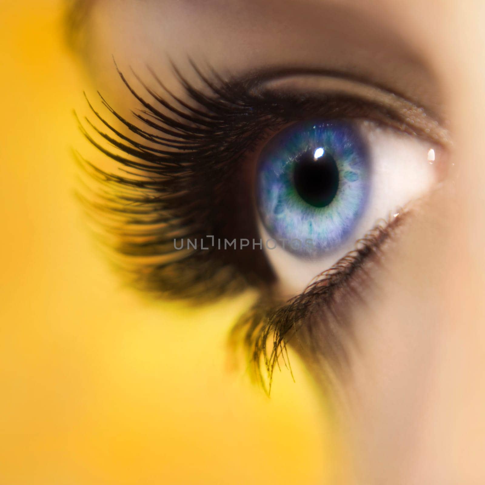 Eye of a young woman with long eyelashes