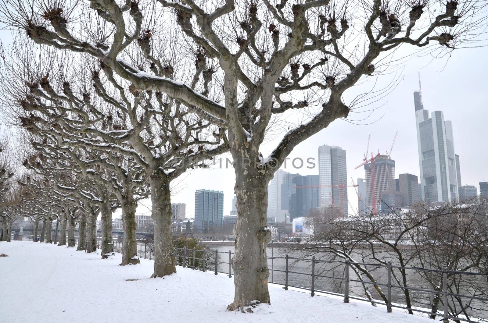 Frankfurt in the snow