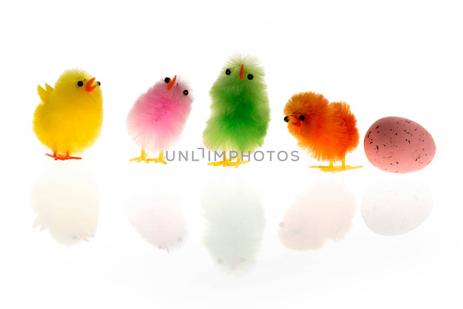 Easter chicks of four colours and one egg isolated on white