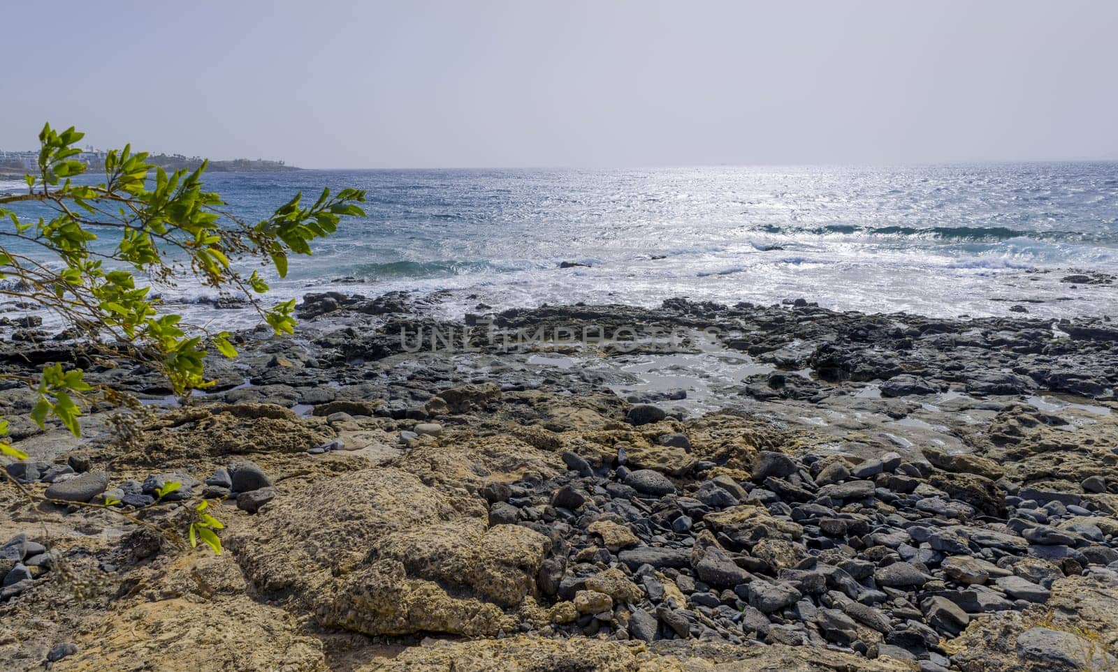 Sea