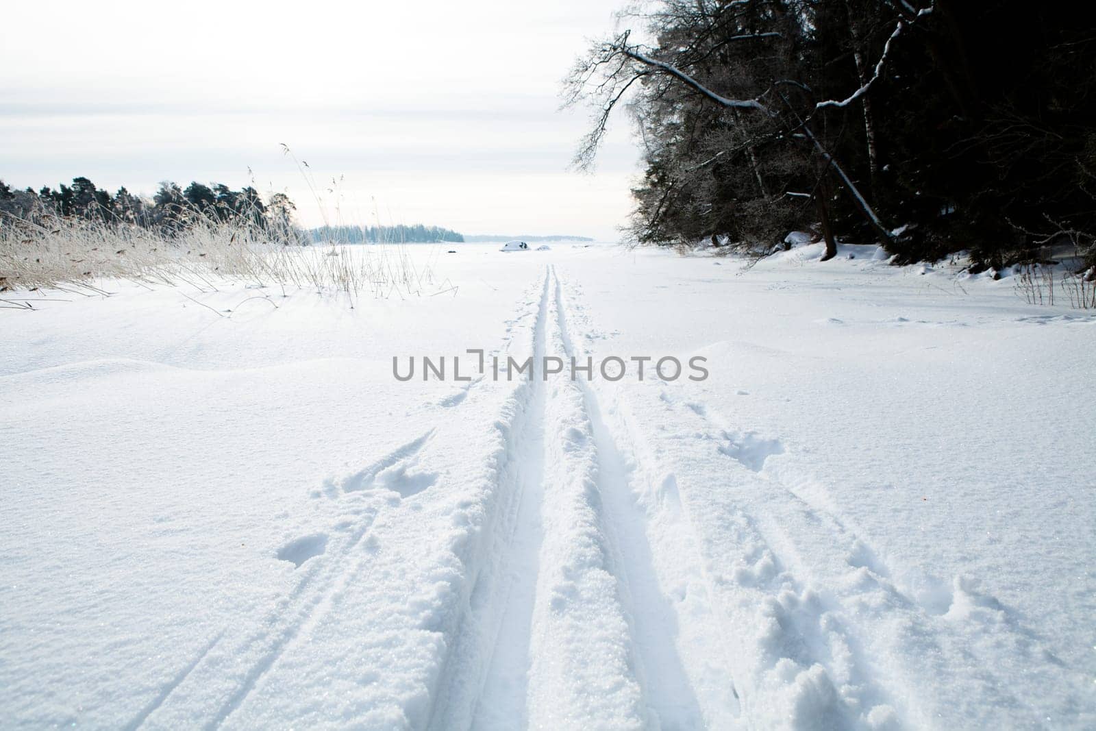 Winter landscape with cross-country skiing tracks in snow on overcast day
