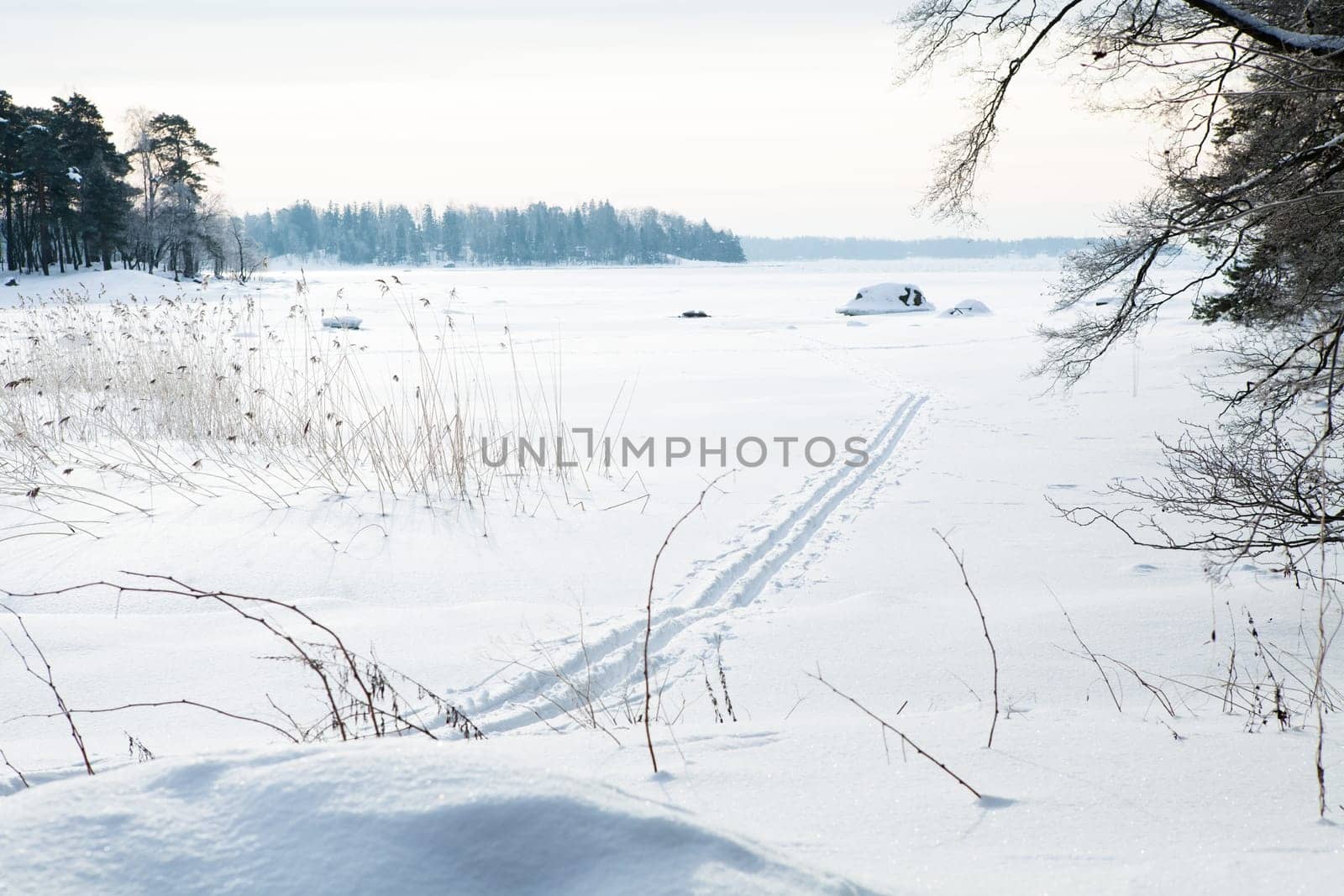 Winter landscape with cross-country skiing tracks in snow on overcast day