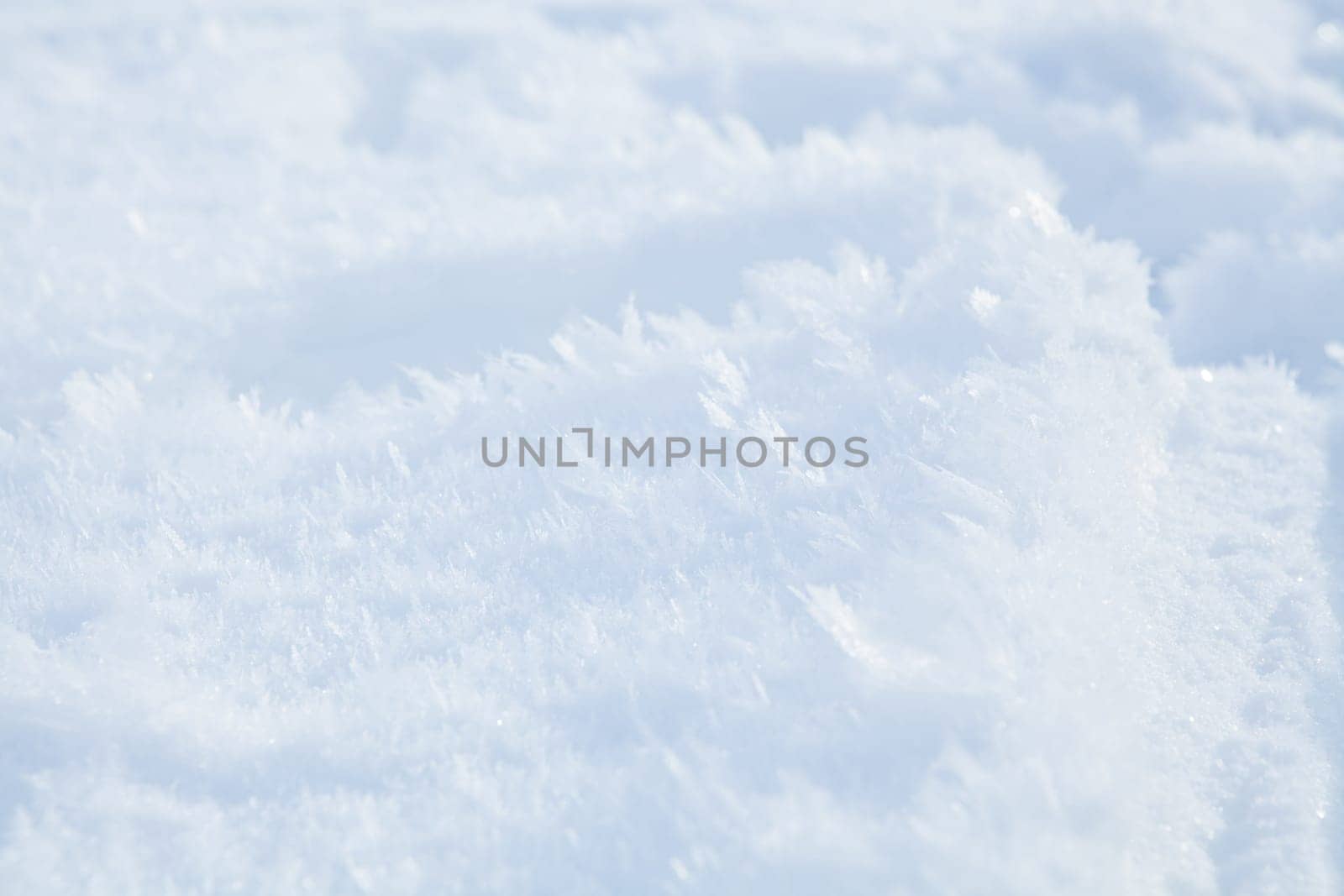 Closeup of delicate icy snow crystals outdoors in winter