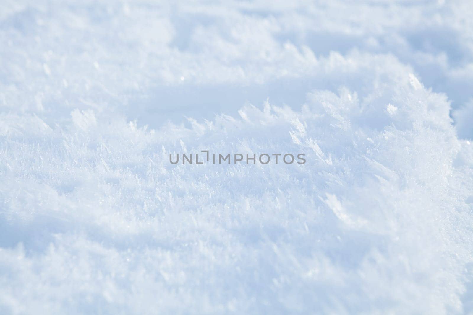 Closeup of delicate icy snow crystals outdoors in winter