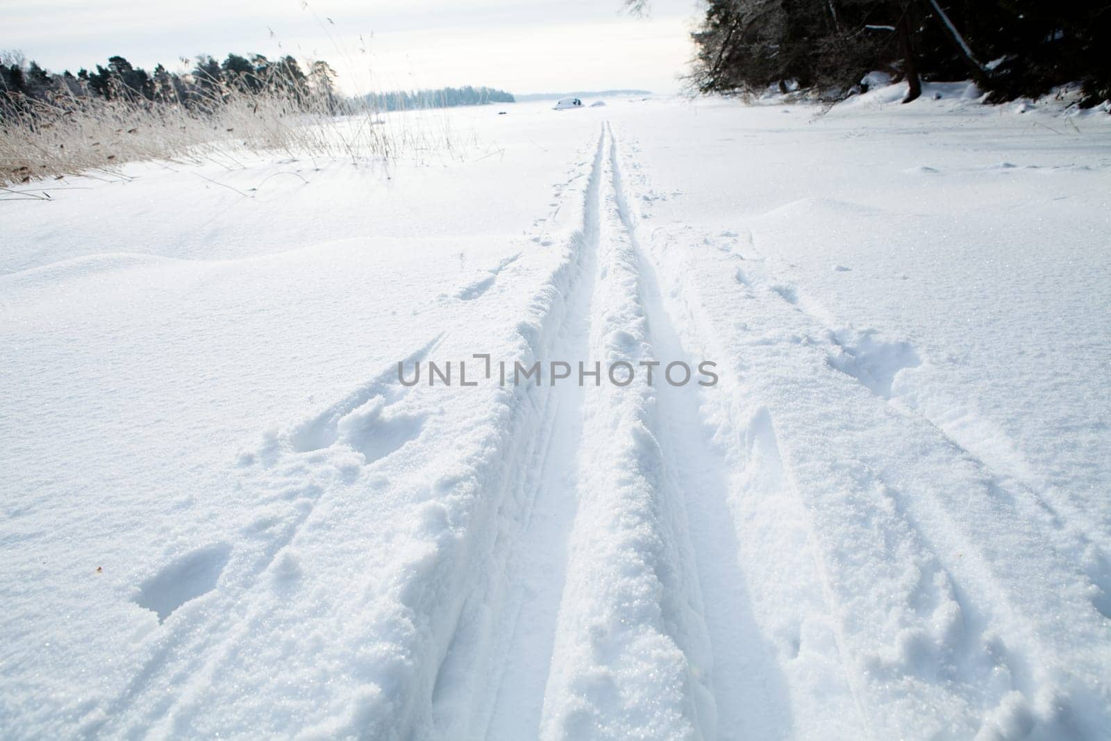 Winter landscape with cross-country skiing tracks in snow on overcast day