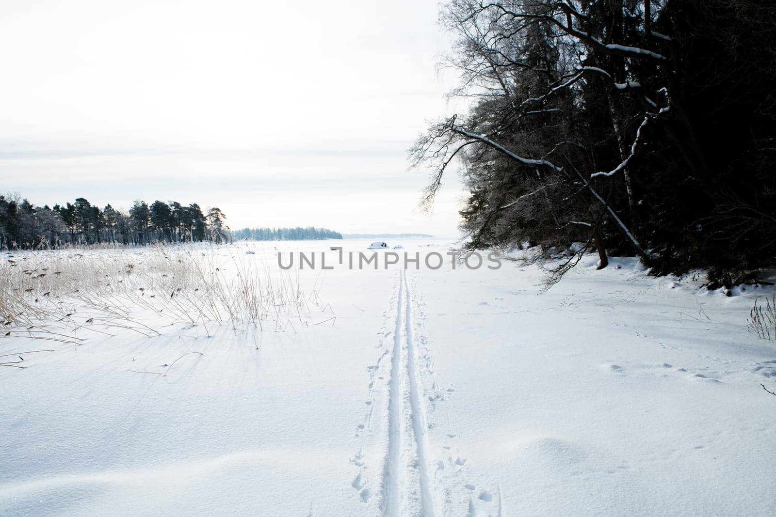 Winter landscape with cross-country skiing tracks in snow on overcast day