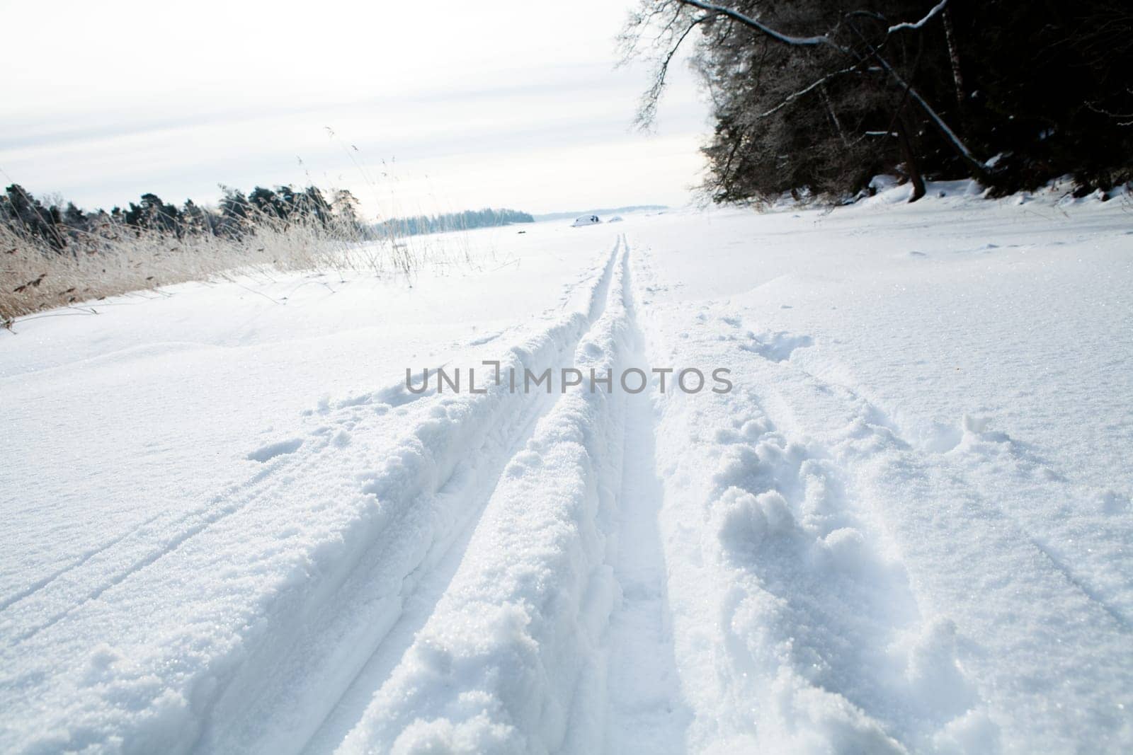 Winter landscape with cross-country skiing tracks in snow on overcast day