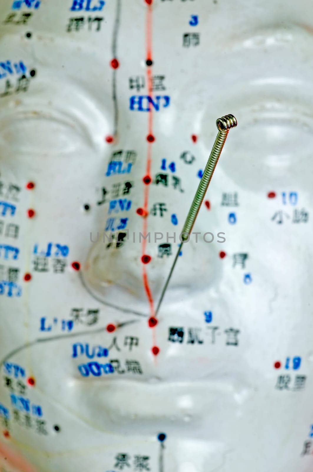 Acupuncture Head Model