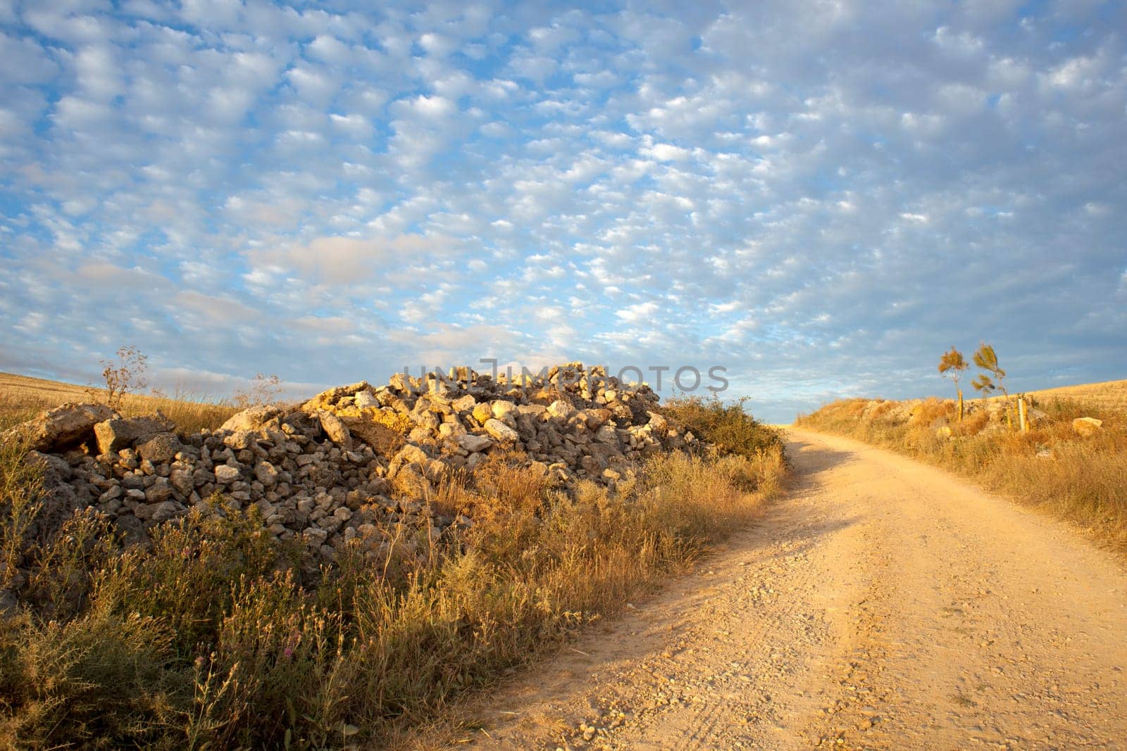 Road in the countryside, way of St. James - Spain