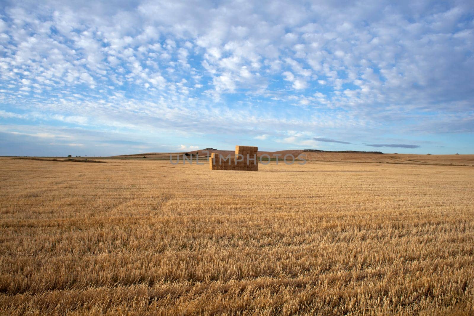 Bales of hay in the countryside - Way of St. James