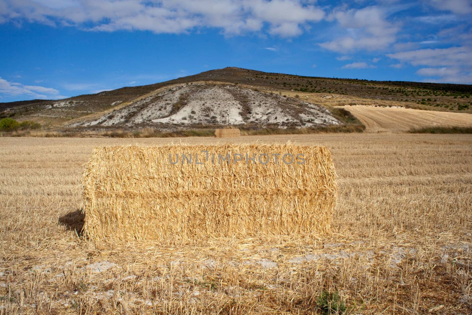 Bales of hay in the countryside