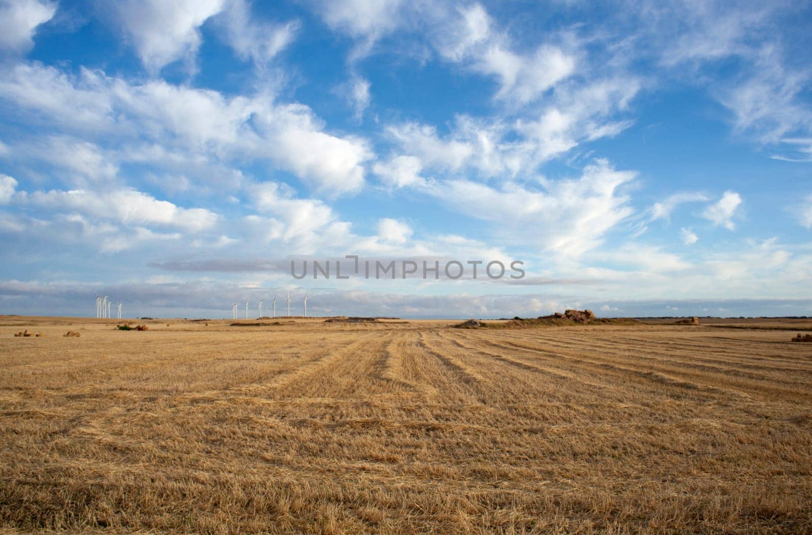 Rural scene in the countryside - Way of St. James