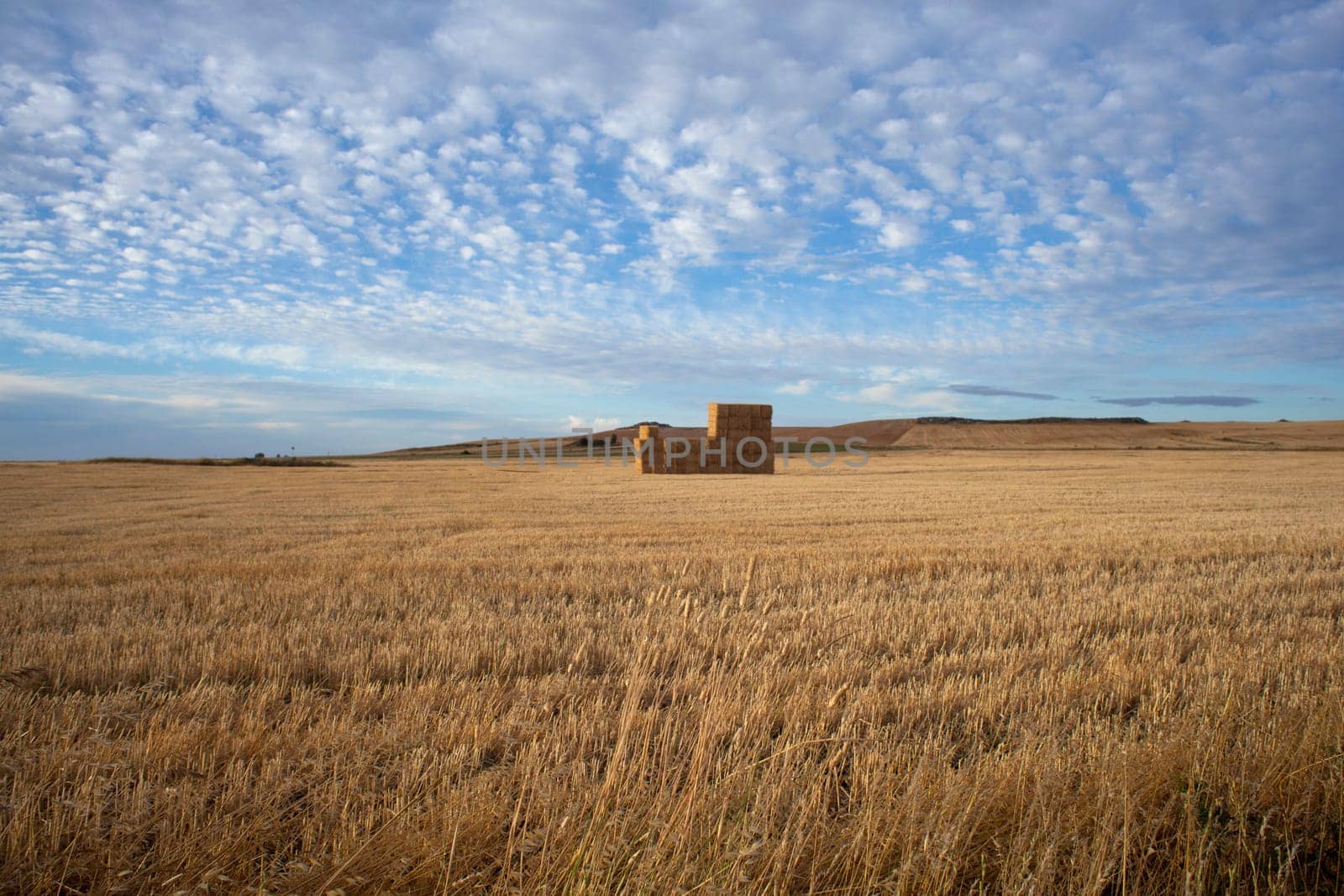 Bales of hay in the countryside - Way of St. James