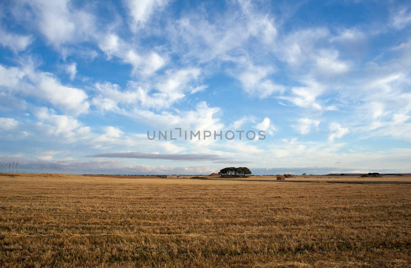 Bales of hay in the countryside - Way of St. James
