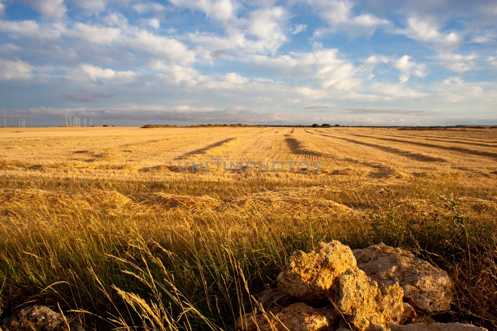 Rural scene in the countryside - Way of St. James