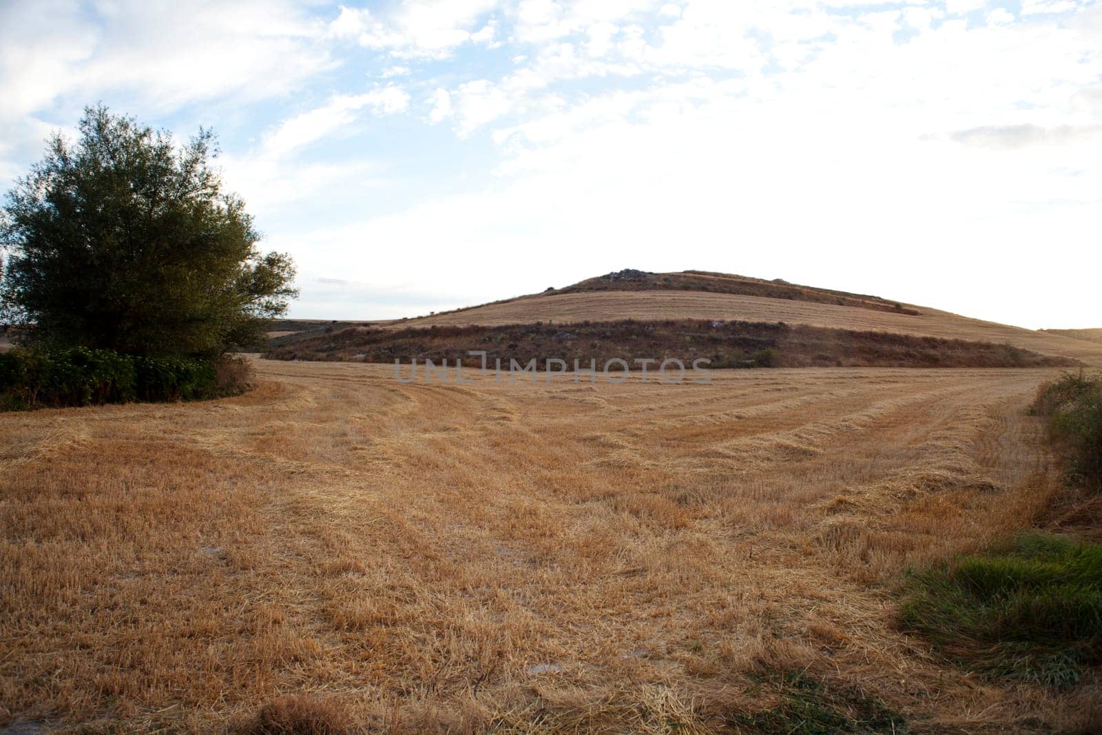 Rural scene in the countryside - Way of St. James