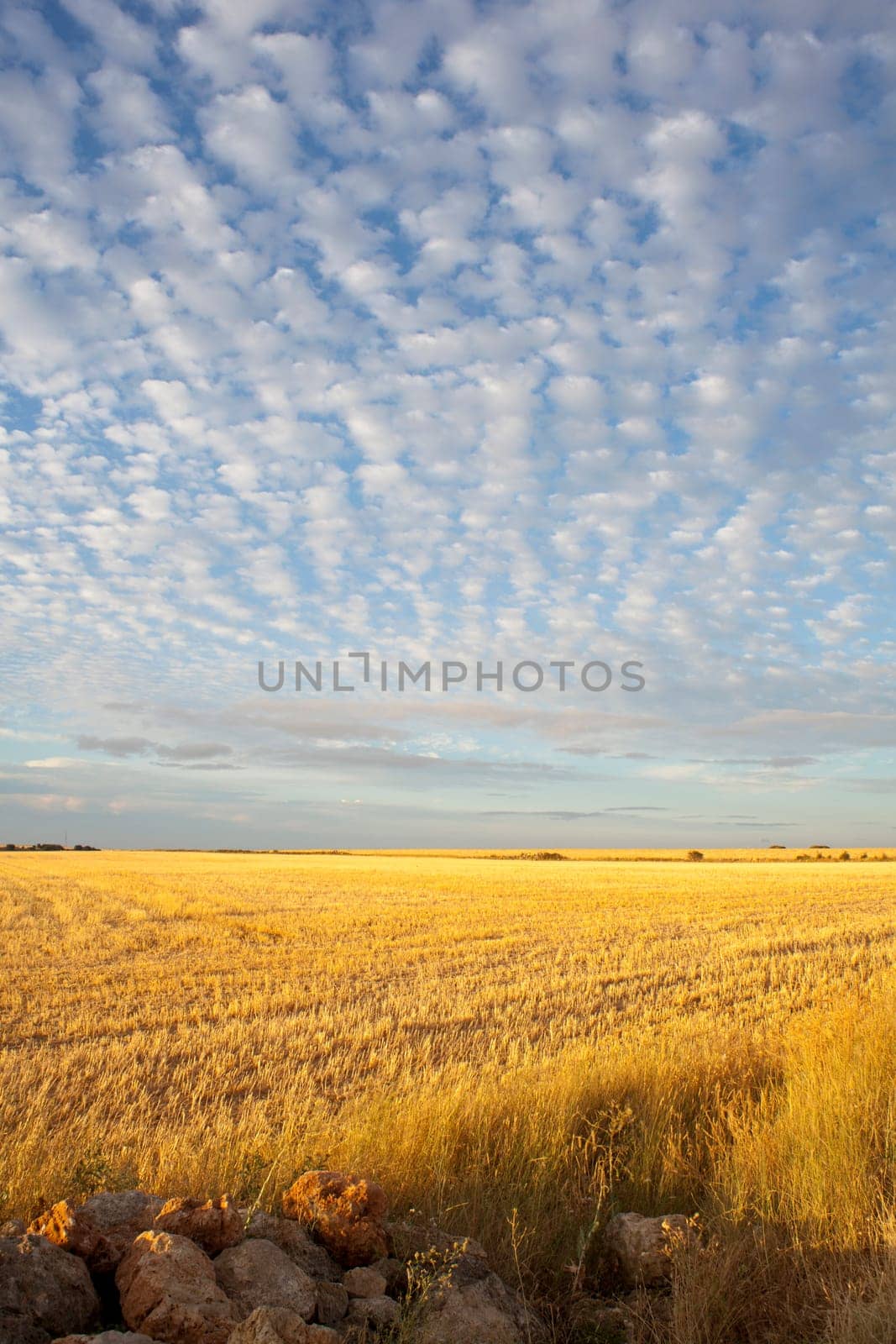 Rural scene in the countryside - Way of St. James