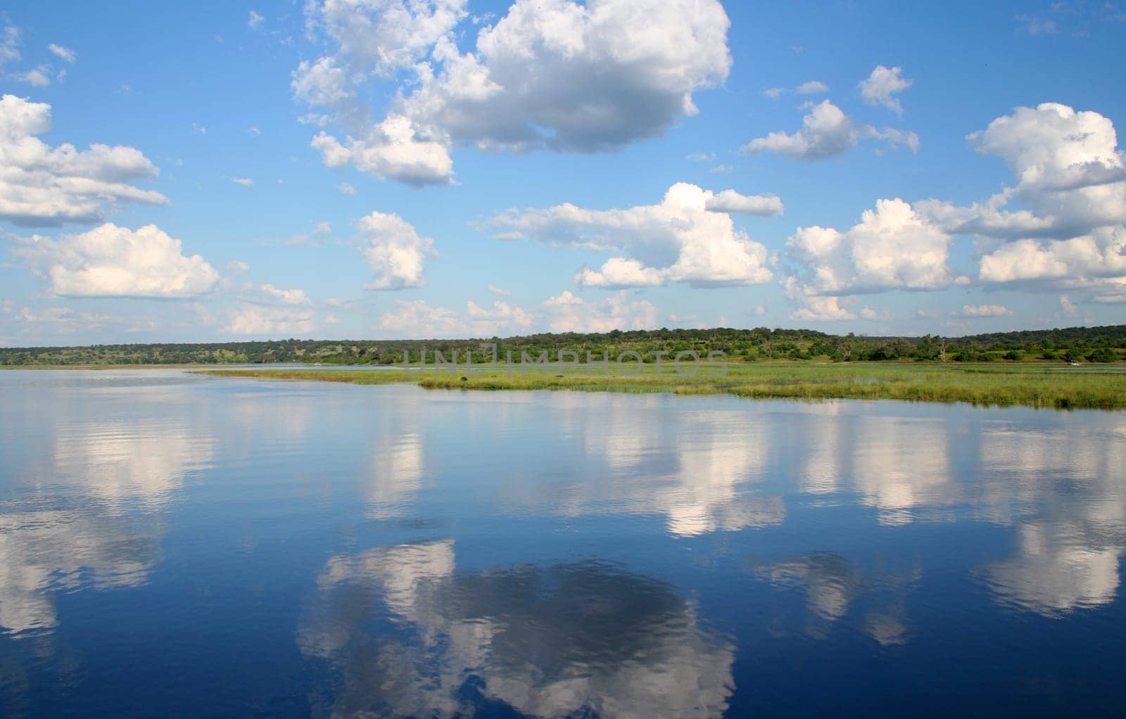river zambesi