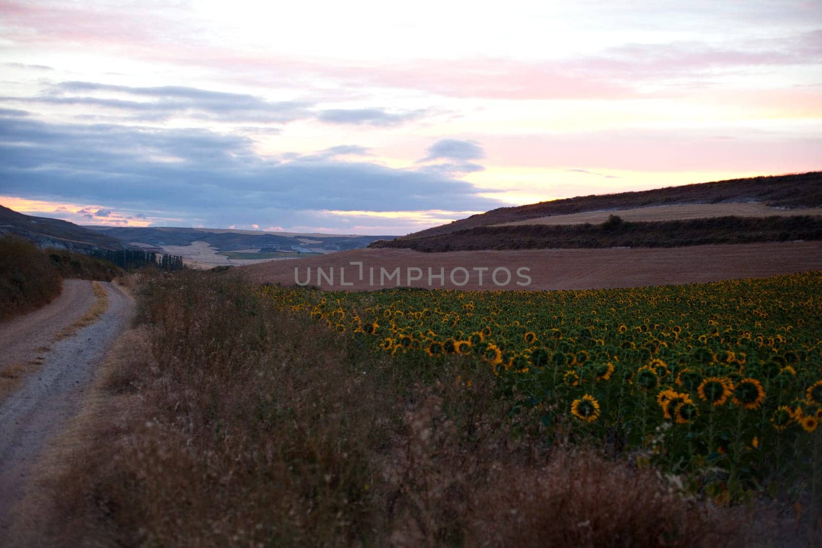 Sunrise in the rural scene in the spanish countryside, Spain