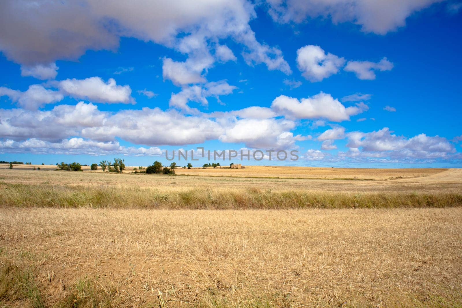 Spanish countryside, Way of St. James