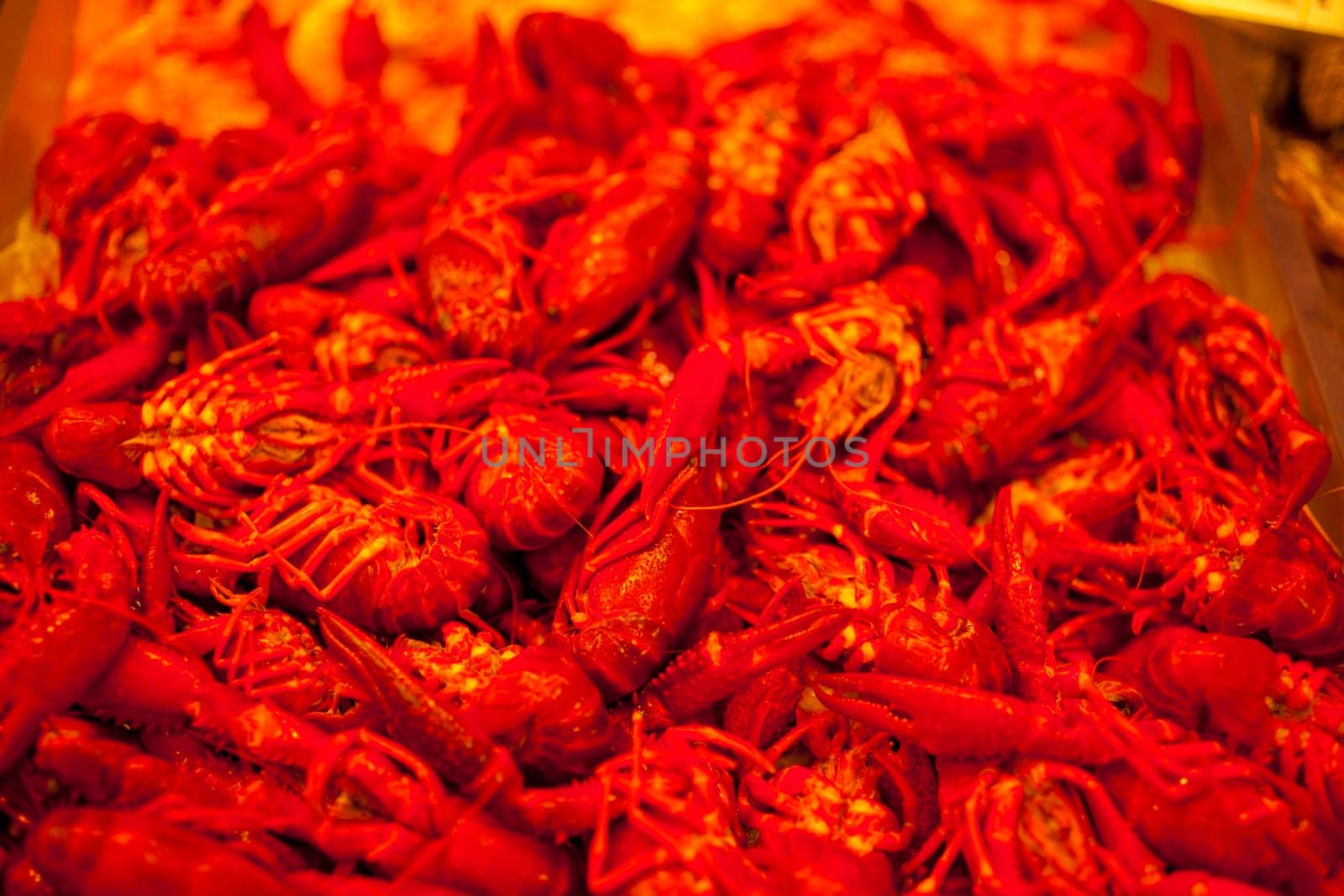 A lot of fresh shrimps
