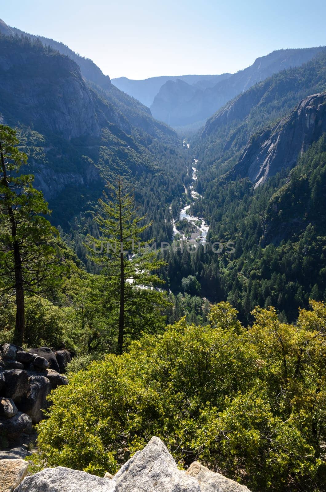 river valley in Yosemite National Park in California