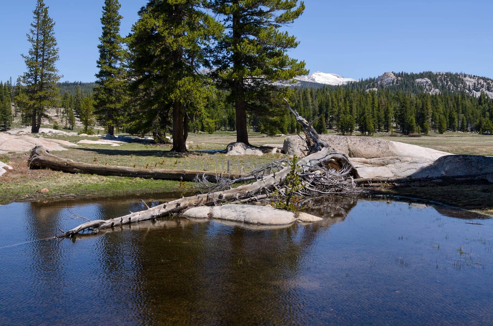 lake with reflections in Yosemite National Park in California
