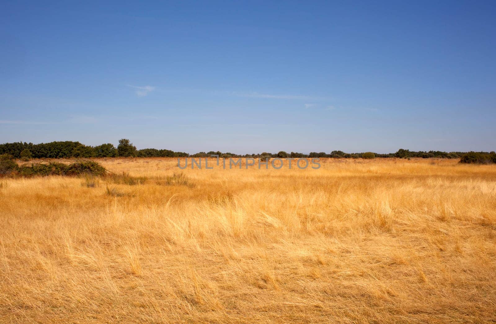 Field after harvest in Spain