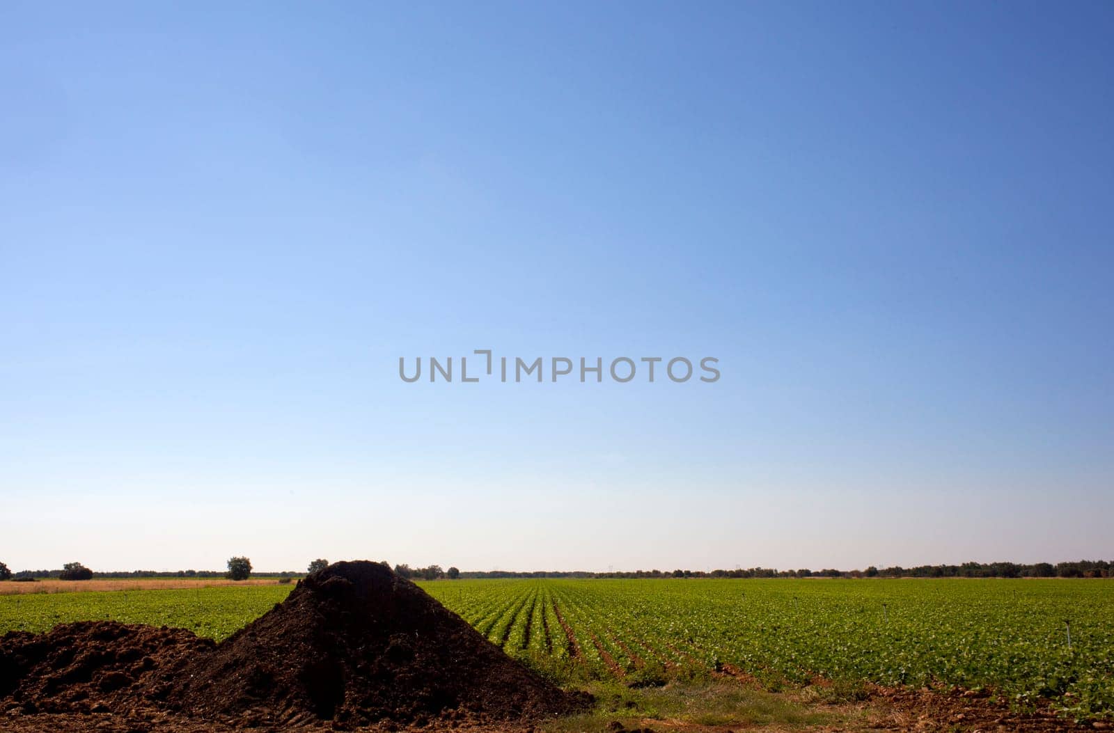 Manure on a fiel, Spain