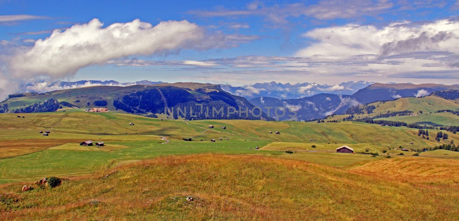 Alpe di Siusi