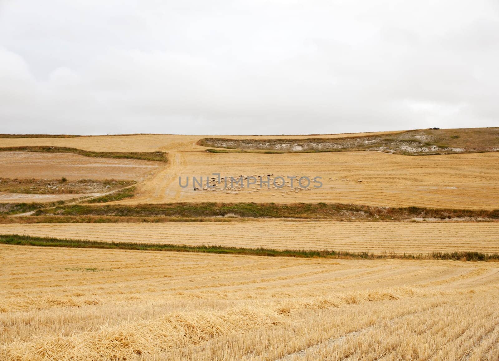 View of spanish countryside