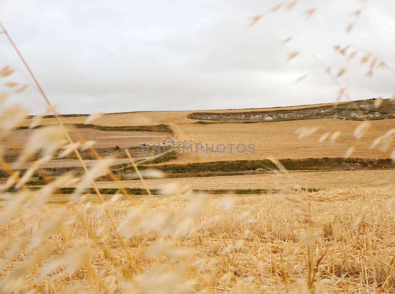 View of spanish countryside