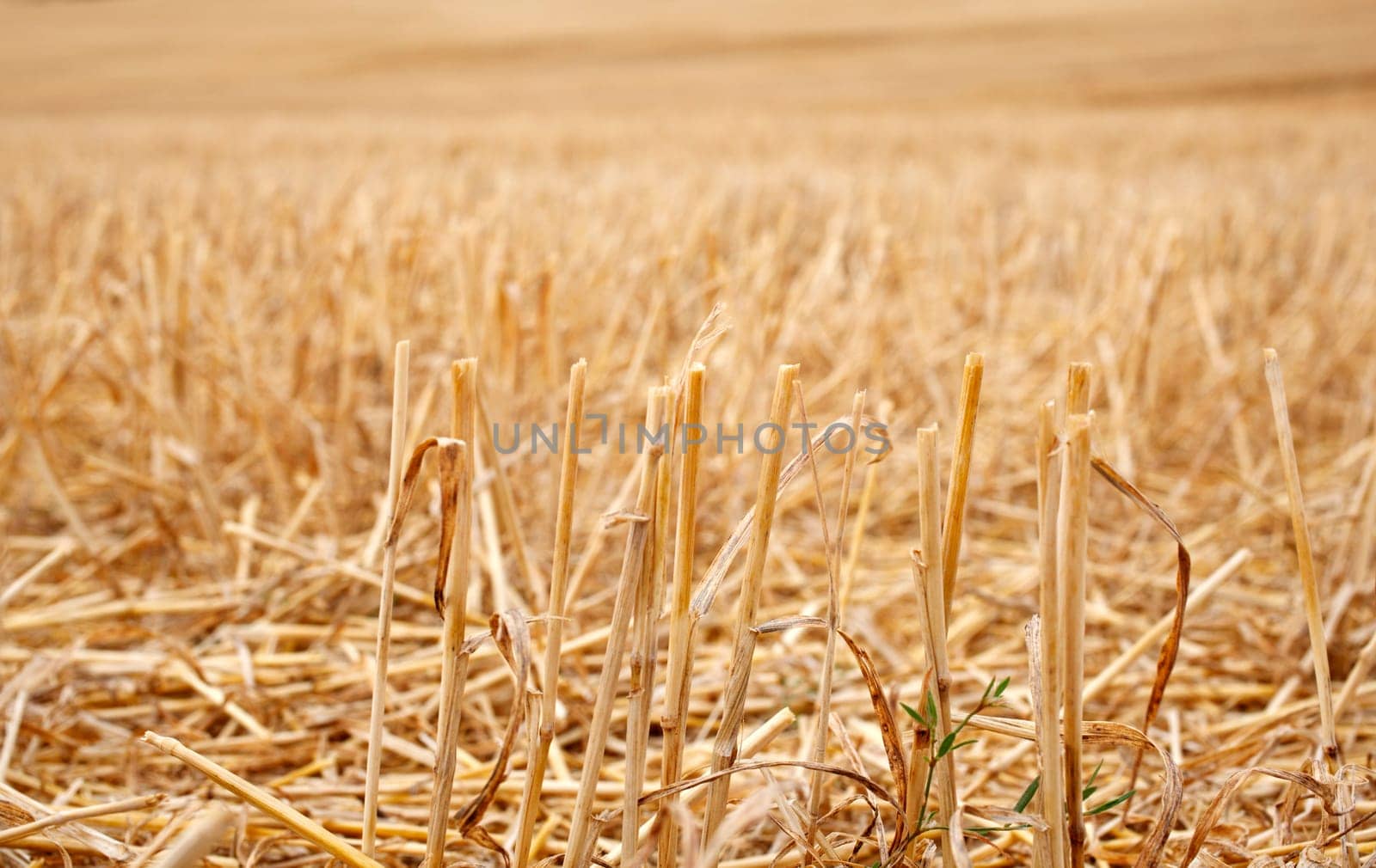 View of spanish countryside